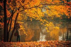 rula-sibai_fall_autumn_leaves